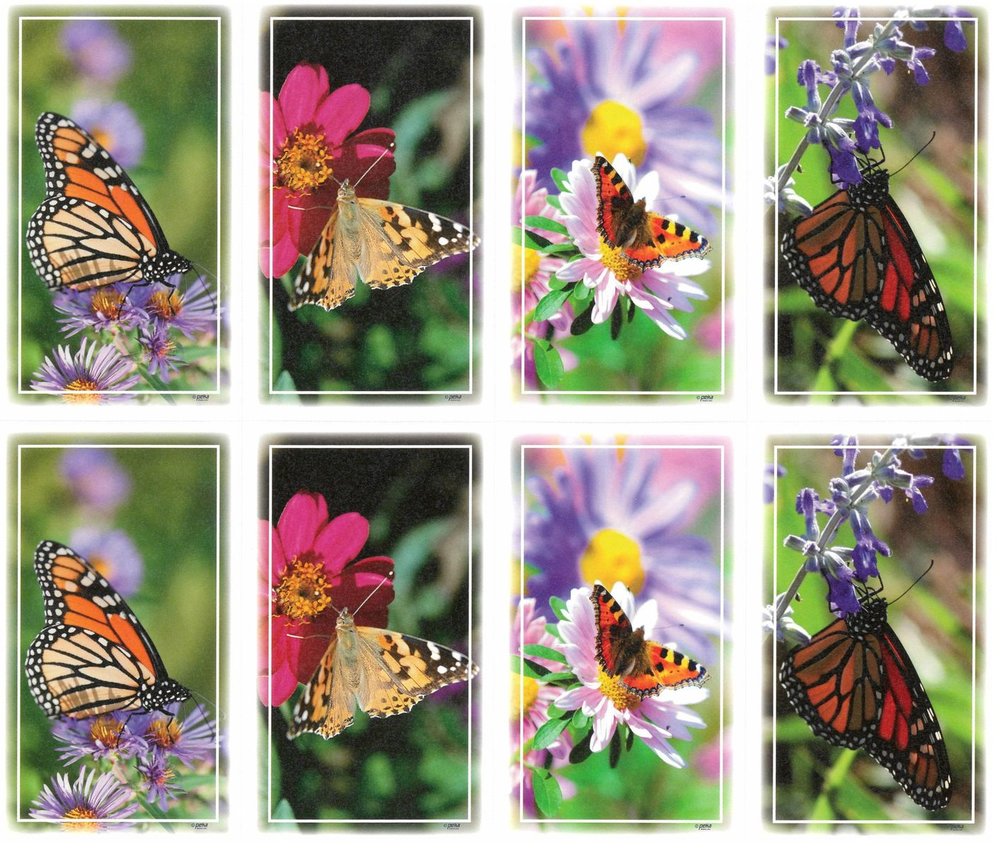Butterflies Hightstown NJ Funeral Home And Cremations